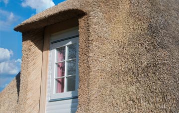 Sticklepath thatch roof disadvantages