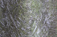 Sticklepath fibreglass roof work